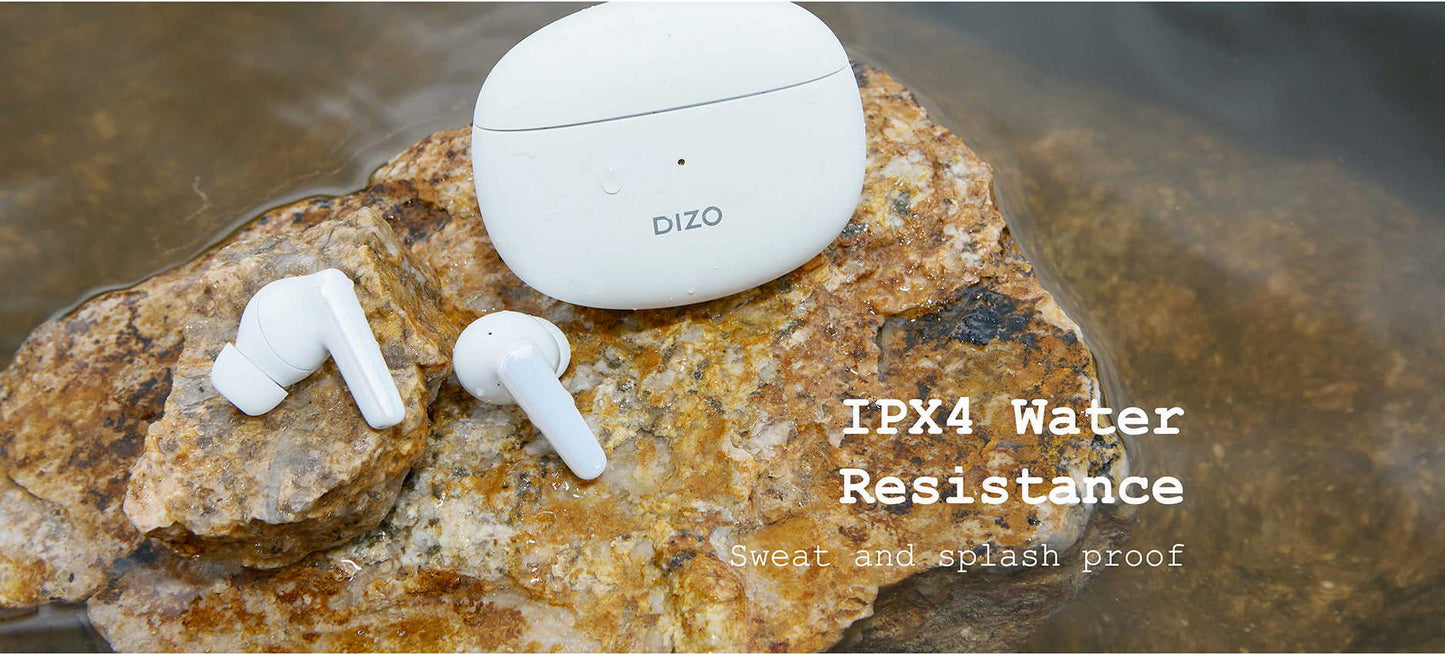 DIZO Buds Z (Onyx Black)
