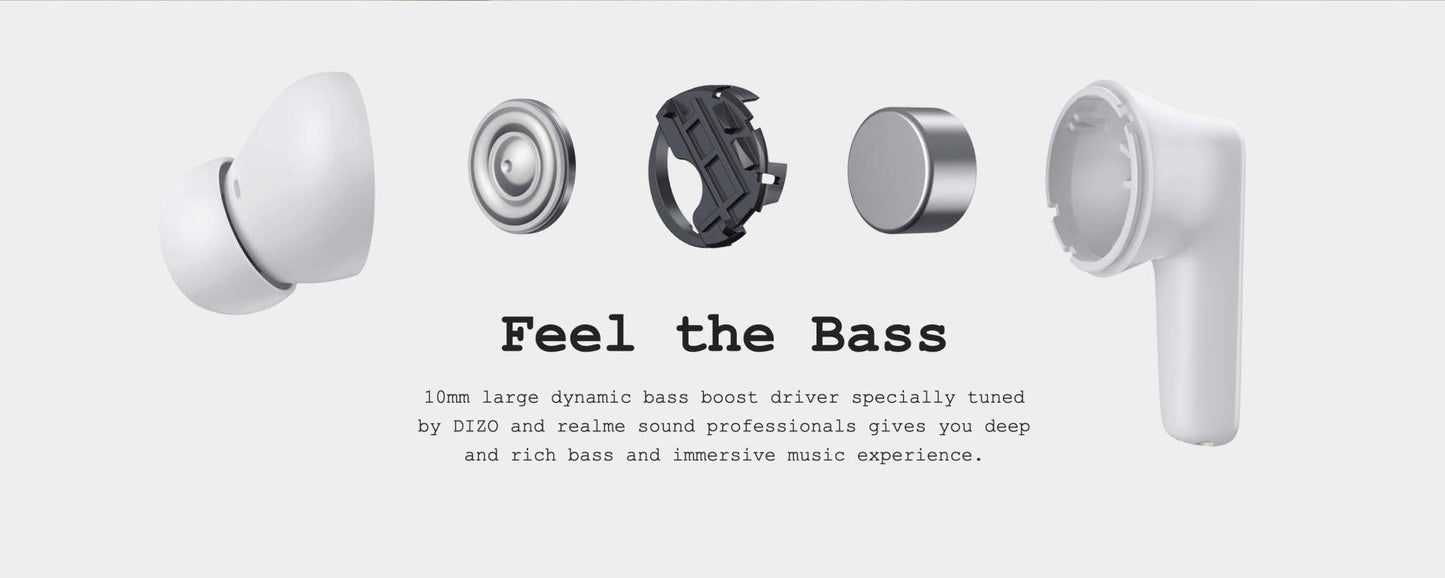 DIZO Buds Z (Onyx Black)