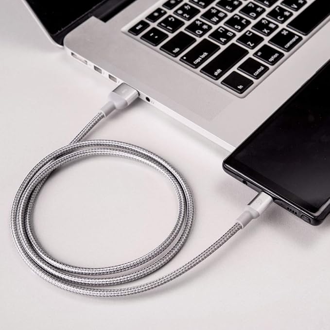ADAM ELEMENTS M100+ USB 3.1 Gen 2 USB-C to USB-A Cable (1M) (Silver)